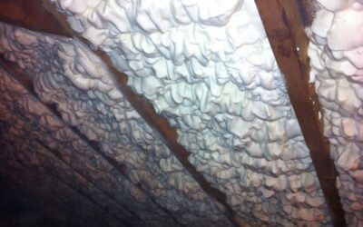 The Importance of Insulation in Your Home
